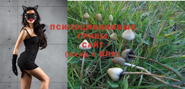 прущая мука Семёнов