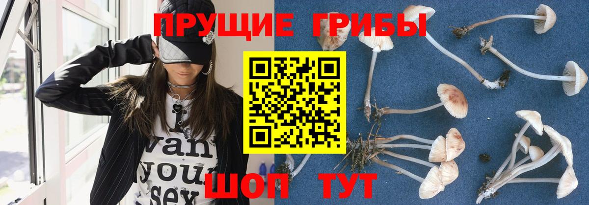 Нижневартовск  дарнет шоп  Псилоцибиновые грибы мицелий  Вход с VPN  Псилоцибиновые грибы мицелий 
